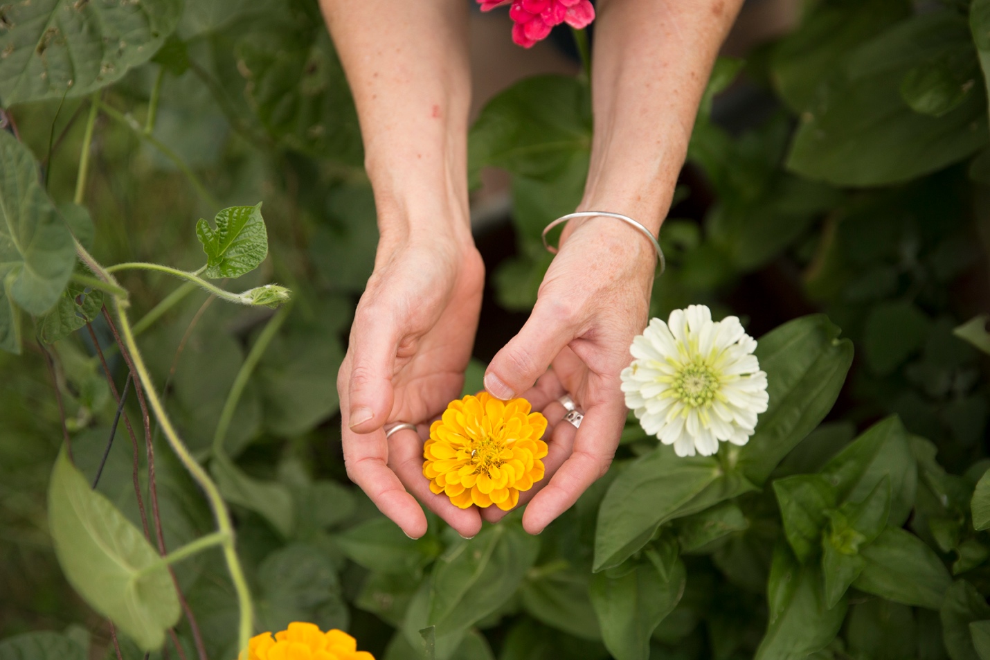 Parts Work: A Gentle Approach to Your Inner World